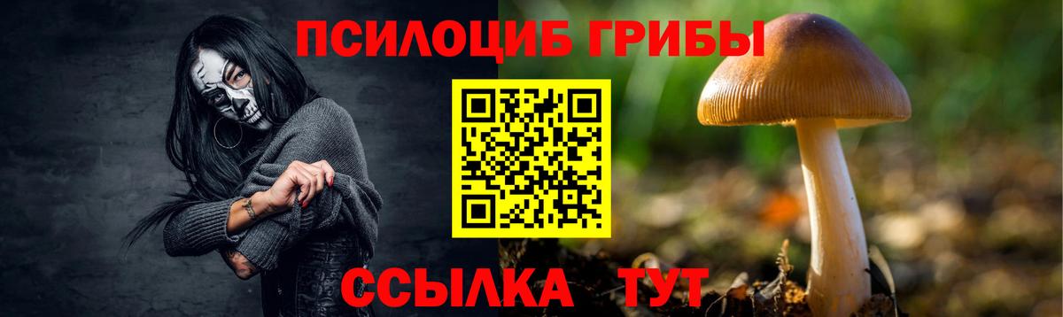Михайловск  Псилоцибиновые грибы ЛСД  Вход с VPN  Псилоцибиновые грибы MAGIC MUSHROOMS 